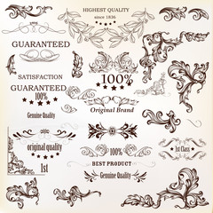 Wall Mural - calligraphic vector vintage design elements , decorations and swirls