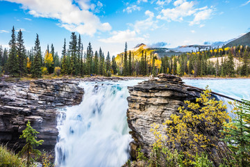 Canvas Print - Evening in Jasper National Park