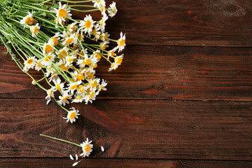 Canvas Print - Beautiful chamomile flowers on wooden background