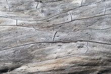 Rustic Wood Texture / Rustic Gray Wood Background With Structural Effect.