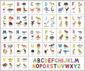 cute vector zoo alphabet. abc animals