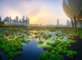 Singapore skyline background