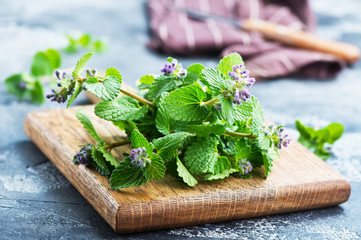 Canvas Print - aroma herb