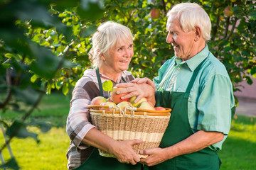 Wall Mural - Elderly couple holding apples. Man and woman touching hands. Let me help you.