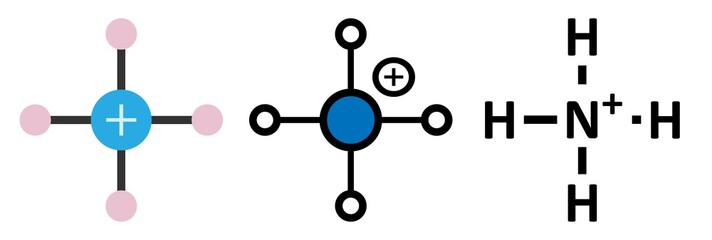 Sticker - Ammonium cation. Protonated form of ammonia.