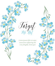 Vector Blue Forget Me Not Flowers