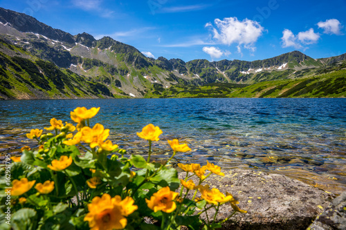 Obrazy Polska tatra-mountains-landscape-europe-poland