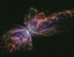 butterfly nebula