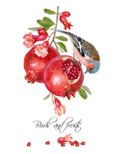 Finch Pomegranate Card