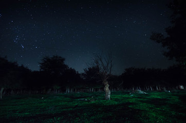 Wall Mural - Mountain Road through the forest on a full moon night. Scenic night landscape of dark blue sky with moon. Azerbaijan. Long shutter photo