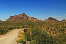 Blue Sky Copy Space And Winding Road Near Pinkley Peak In Organ Pipe Cactus National Monument In Ajo, Arizona, USA Including A Large Assortment Of Desert Plants, Which Is A Short Drive West Of Tucson.