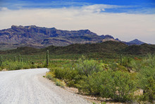 Blue Sky Copy Space And Winding Road Near Tillotson Peak In Organ Pipe Cactus National Monument In Ajo, Arizona, USA Including A Large Assortment Of Desert Plants, Which Is A Short Drive West Of Tucso