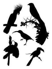 Wall Mural - Black birds silhouette. Good use for symbol, logo, web icon, mascot, sign, or any design you want.