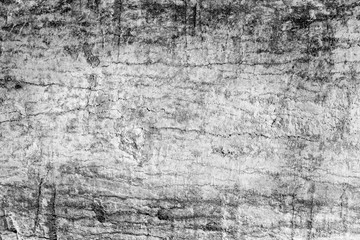 Wall Mural - Tree bark texture background, monochrome grunge style