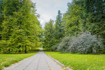 Canvas Print - City Park Road