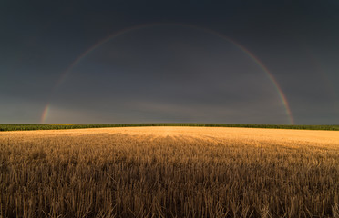  Wheat field after rain with rainbow behind