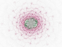 Abstract Fractal Flower Computer Generated Image. Pink Flower With A Green Heart