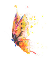 Beautifully Hand Painted Butterfly With Colourful Yellow, Pink, Blue And Orange Wings