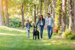 young interracial family with dog holding hands and walking in sunny forest