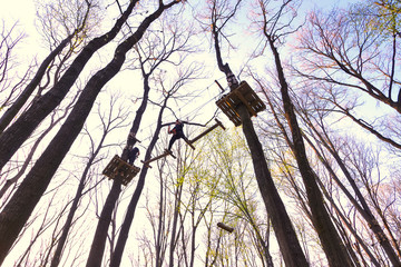 People climbing the obstacles in the trees for recreation in 