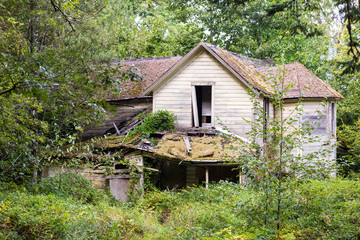 broken down forgotten house in an overgrown forest