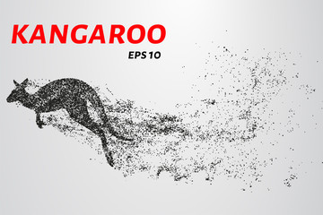 Wall Mural - Kangaroo of particles. Kangaroo consists of small circles and dots.