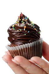 Wall Mural - Beautiful feminine hand holding tasty appetizing chocolate cupcake. White Isolated Background. Closeup.