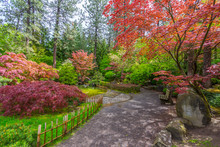 Colorful Park In Japanese Style. Manito Park And Botanical Gardens, Spokane, Washington, United States