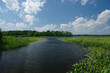 Boat Channel: A waterway for small boats leads into the Chippewa Flowage lake region of northern Wisconsin.