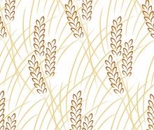 Seamless Background With Wheat. 