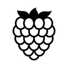 Wall Mural - Raspberry fruit or raspberries line art vector icon for food apps and websites
