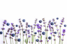 Fresh Lavender Flowers And Blueberries On A White Background. Lavender Flowers And Blueberries Mock Up. Copy Space.