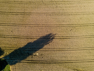 Sticker - Aerial view of wheat field