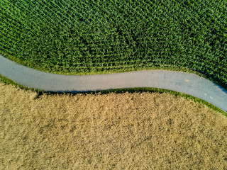 Wall Mural - Aerial view of road through fields