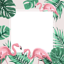 Exotic Tropical Border Frame Template With Bright Green Jungle Palm Tree Monstera Leaves And Pink Flamingo Birds. Square Promo Banner Layout. Summer Sale Promo Poster. Vector Design Illustration.