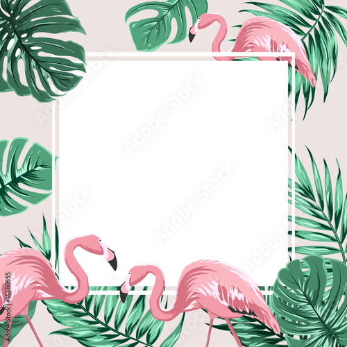 Exotic Tropical Border Frame Template With Bright Green Jungle Palm Exotic Tropical Border Frame Template With Bright Green Jungle Palm Tree Monstera Leaves And Pink Flamingo Birds Square Promo Banner Layout