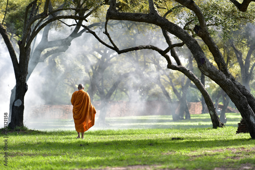 The monk walks in the park, the monk meditates under the Buddha's tree at Wat Ayutthaya, the Buddhist monk temple in Thailand. - obrazy, fototapety, plakaty 