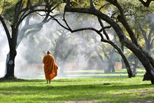 The Monk Walks In The Park, The Monk Meditates Under The Buddha's Tree At Wat Ayutthaya, The Buddhist Monk Temple In Thailand.