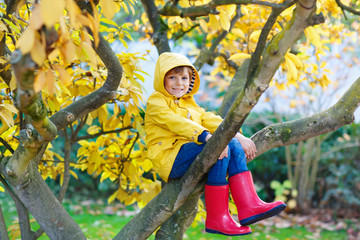 Wall Mural - little kid boy in colorful clothes enjoying climbing on tree on autumn day