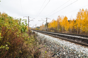 Railway road and trees in yellow colors