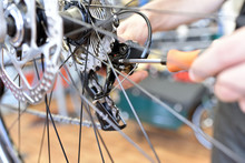 Schaltung Einstellen Am Fahrrad Durch Mechaniker In Einer Fahrradwerkstatt // Circuit Set On Bicycle By Mechanic In A Bicycle Workshop