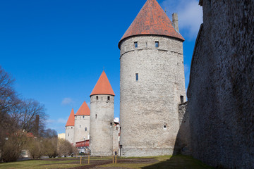 Wall Mural - Fortress Wall and the Old Town Tower , Tallinn, Estonia