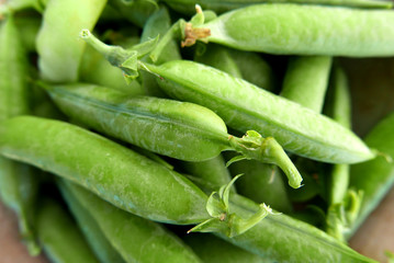 Peas in Pods