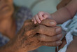 © Apiwut Sookkasame - old people and a baby holding hands