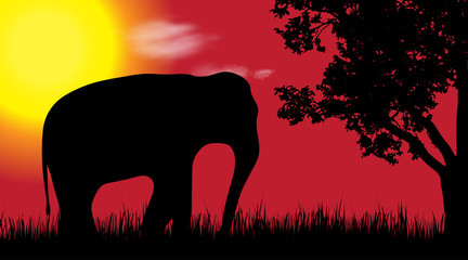 Canvas Print - Vector silhouette of elephant in nature at sunset.