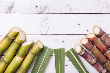 Wall Mural - Sugarcane and green leaf close up