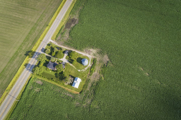 Wall Mural - Countryside farm with cornfield, aerial top view