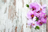 Fototapeta Storczyk - Pink orchids flowers