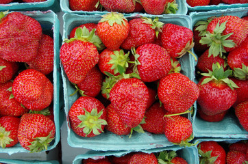 Wall Mural - Strawberries displayed in baskets for market