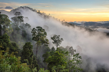 Wall Mural - misty morning sunrise in mountain at Phang Nga,Thailand.